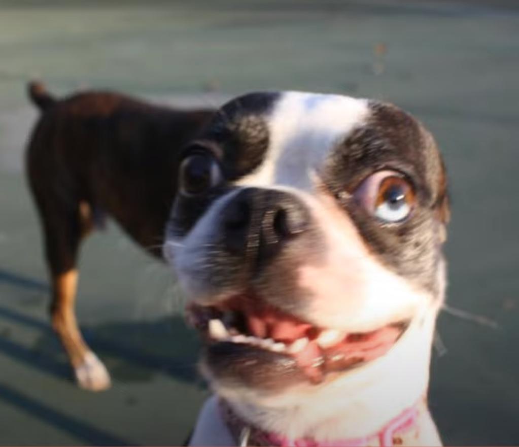 海之归墟|32张带有“误导性”的照片,你能一眼看明白吗?