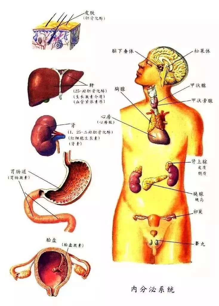 米饭|健身减肥该如何下手？这样安排就能帮助你高效率瘦下来?