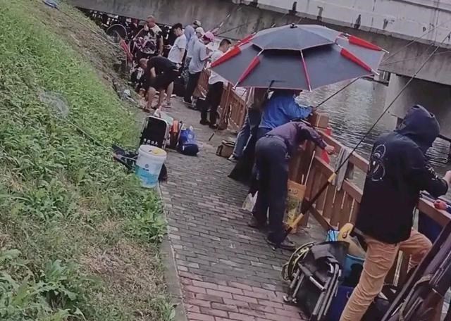 上海市|上海“鲫鱼之战”，一天能钓七八十斤！盛宴过后却是一地鸡毛