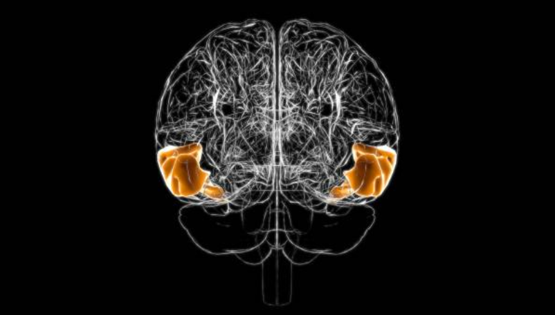 爱因斯坦 为什么人不会发烧到50度？