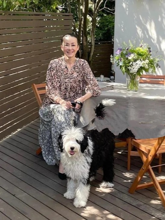 虎哥说衣不二|优雅不分年龄,日本姐姐近60岁依旧美丽端庄,这才是岁月不败美人