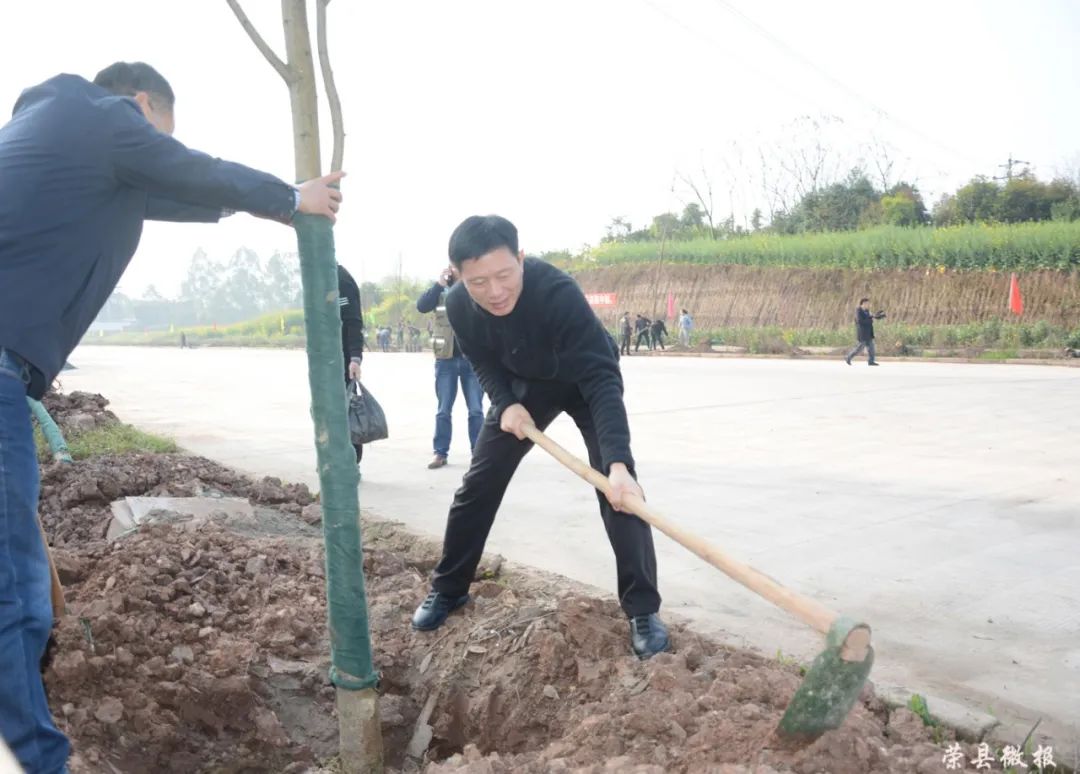 富顺快报 新春添新绿，这是荣县打开春天的正确方式