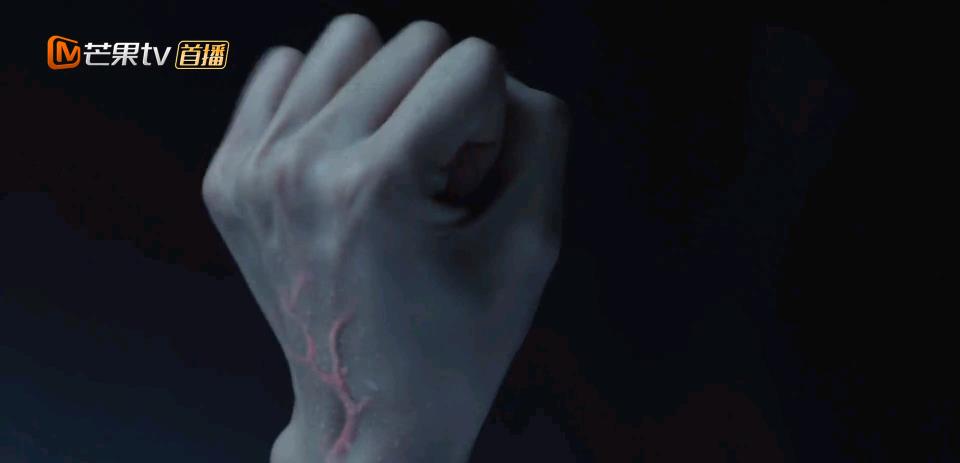 刘海宽|本是奔着“陈情男孩”刘海宽去追剧，竟被“宝藏男配团”惊艳到了