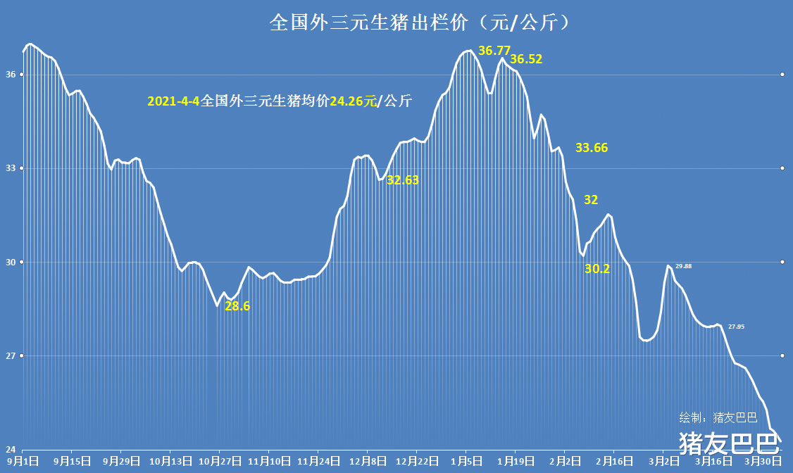 生猪价格 4月4日猪价：18连跌！节日气氛浓厚，猪肉消费反弹，猪价要上涨？