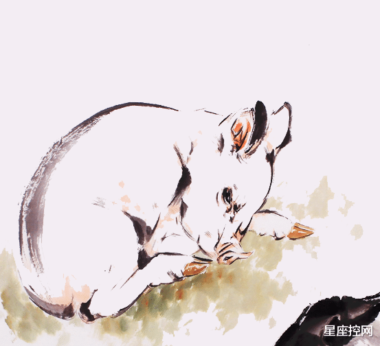 星座控网|啥生肖最近压力大了点，但物极必反，未来好日子降临，福气满满