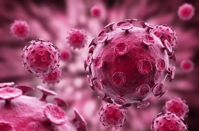 冠状病毒 研究发现：冠状病毒在人类历史中经久不衰，几个世纪前就已爆发过