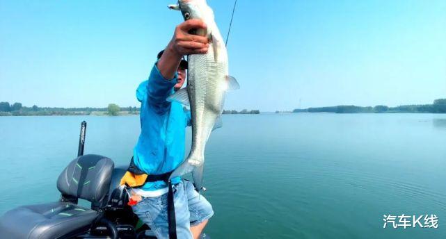 广东省|长城皮卡“独钓”圈层营销