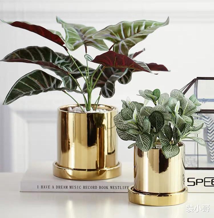 为什么别人家的金色家装，是轻奢小资风，而我们家却满是土豪气？