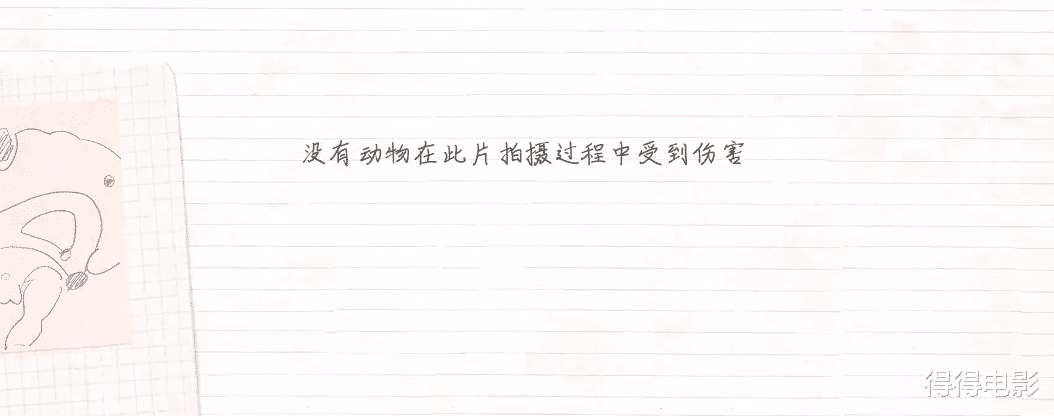 绝了!肖央用《唐探》余辉救了迷雾剧场,编剧还隔空讽刺于正?
