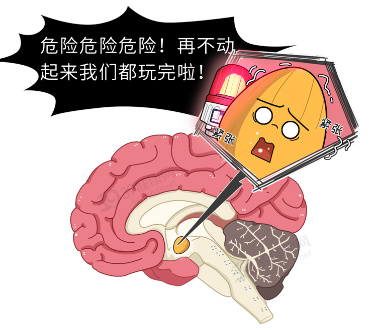 39健康网 “恐高症”是真的胆子小，还是故意找借口？简单自测一下