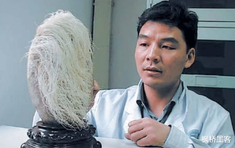 农村见闻 老农捡到一长满白发的石头，专家鉴定后立马封锁村庄，发生了何事