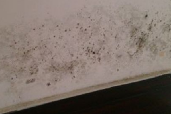 墙面潮湿是哪些原因引起的？怎么处理？看完你就知道！