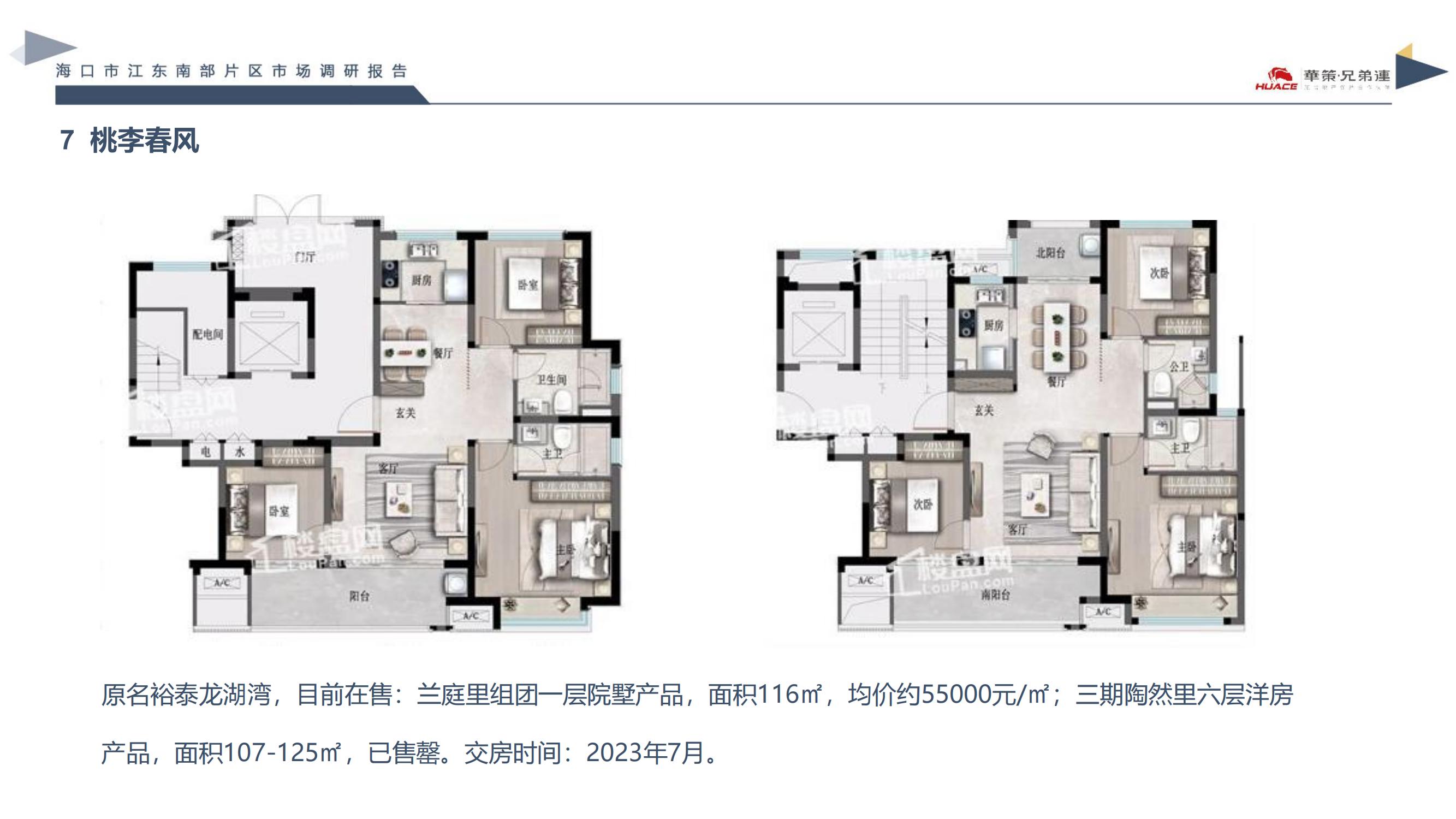 海口|海南海口江东新区南部片区房地产市场调研报告