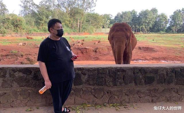 郑欣宜|德云社孙越发文，在线“威胁”节目组，原因却逗乐了不少网友