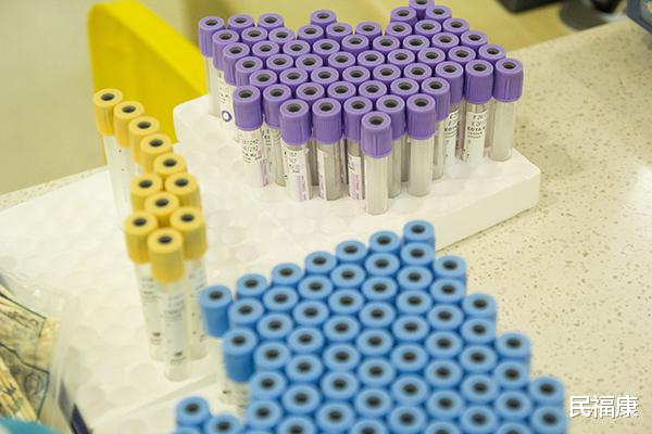 蛋白质|免疫力和自愈力,两者有什么区别?3个方法,有效激活身体自愈力