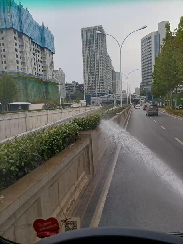 驾驶|还原植物本色，我市加强道路绿化常态化保洁