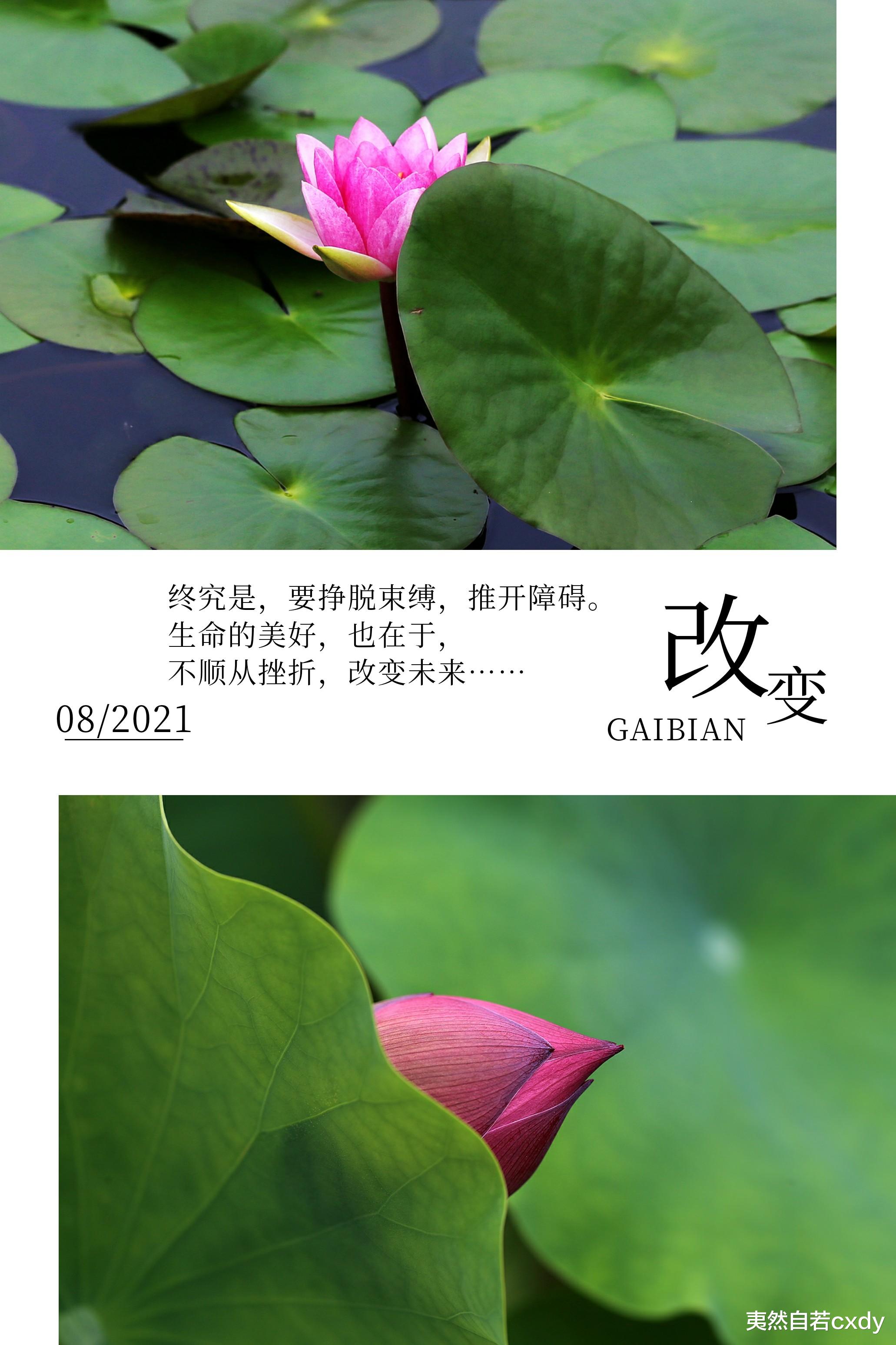 夷然自若cxdy|季节终会凋敝所有颜色，想问：到那时，君可爱我如此刻？