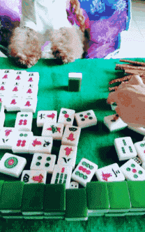  姑娘穿紧身裙注意点，一不小心就会原形毕露，亮点都被暴露了！