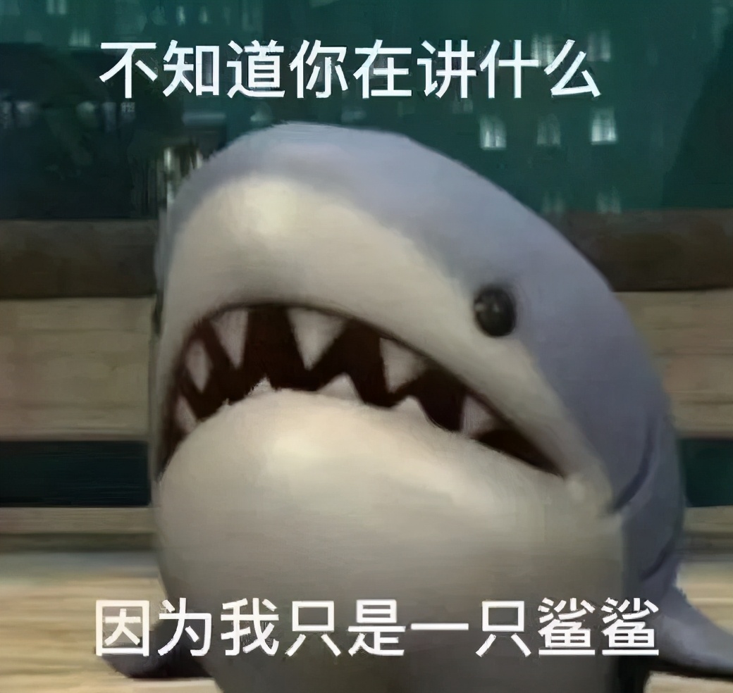 王思聪|王思聪与网红孙一宁大战，表情包全梳理