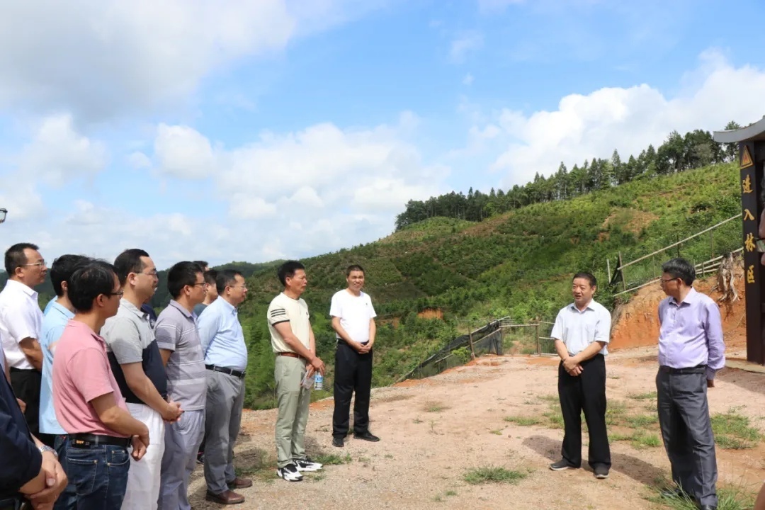 红色文化 【授牌仪式】福建师范大学授予上杭白砂国有林场“课程思政教学实践基地”荣誉牌