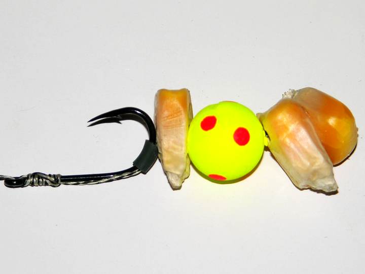 五指山|玉米钓大鱼“最佳挂钩方式”只要鱼咬钩了，那它就跑不掉了。