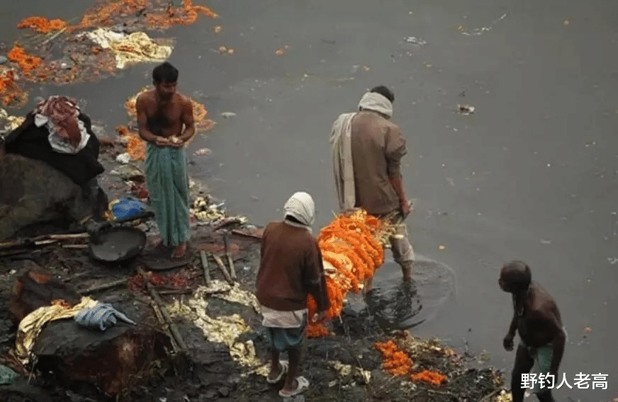 印度的“恒河之殤”：500萬隻甲魚“毒素纏身”，爛泥不上墻？-圖8