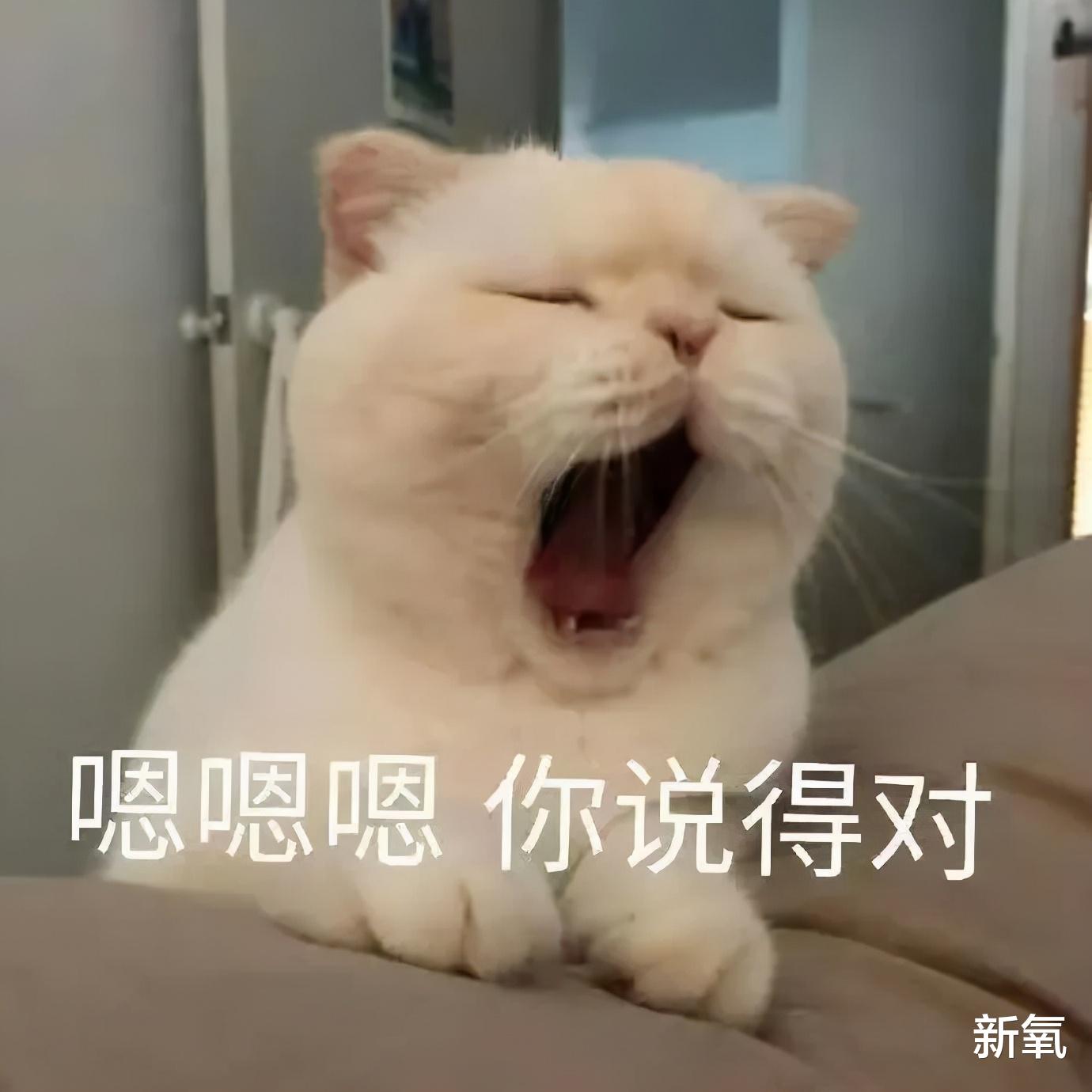衬衫 打滚能减肥？恐怖片减肥？这些奇葩的减肥方法真的有用吗？
