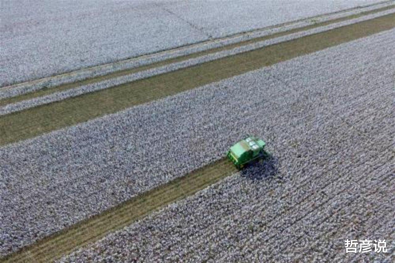 哲彦说 太阳从西边出来了？澳媒8连发揭露西方对华诡计，真相总会大白