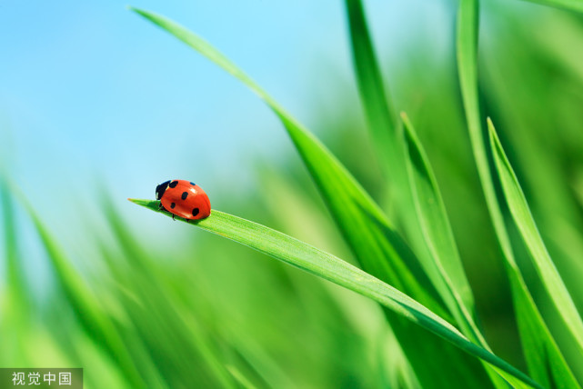 三星堆 人类诞生和存在的意义是什么？专家的解释，让人豁然开朗