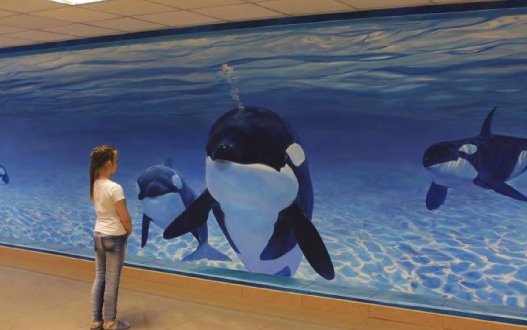 海之归墟|27个让人惊讶的街头艺术，艺术家简直是天才