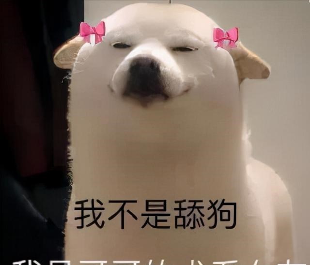 百娱星谈 孩子爸的故事：曾经有过怎样的前尘往事？他傍富婆的原因是什么？