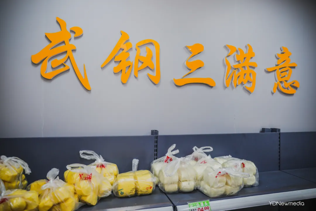 一马平天下 倒在时代更迭中的武钢一号楼，和那些回不去的东北老移民！