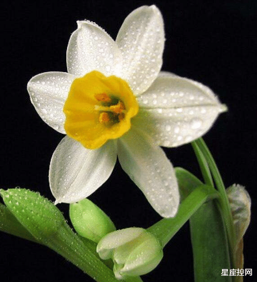 |哪些月份出生的人，敢拼爱闯，勇于创新，职场发展先苦后甜