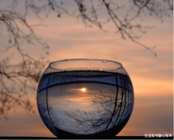 生活有书静心有术|人经历什么事情会一夜白头?