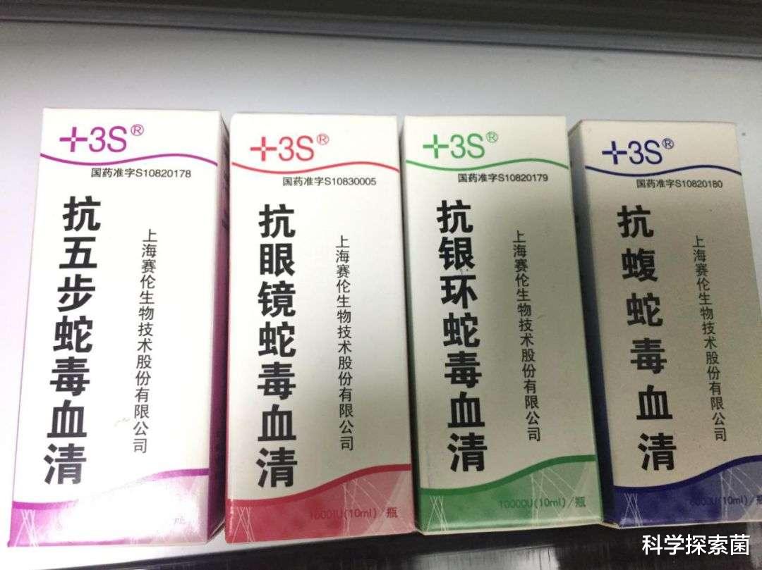 毒蛇 蛇毒为什么被称为液体黄金？专家道出它的妙用