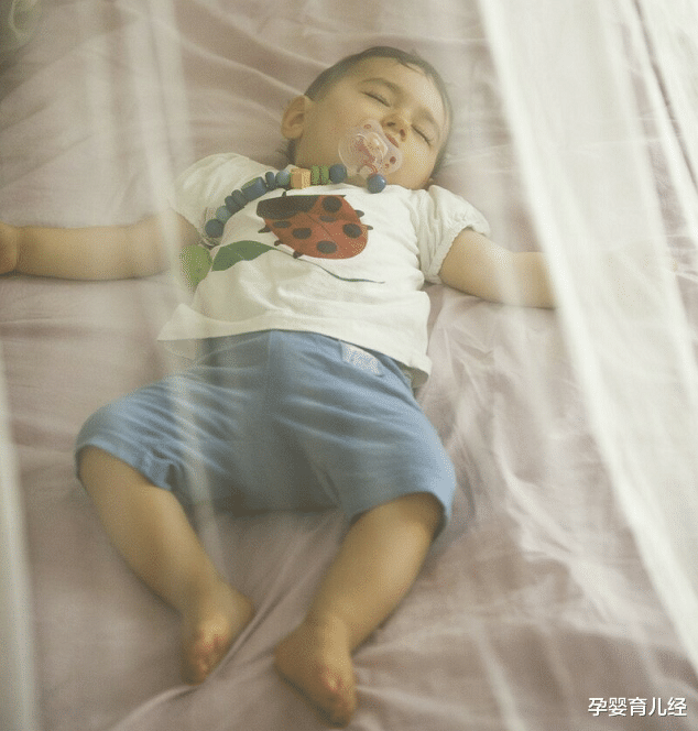 孕婴育儿经|不想孩子被蚊子“恩宠”,试试这些小妙招,别再用风油精了