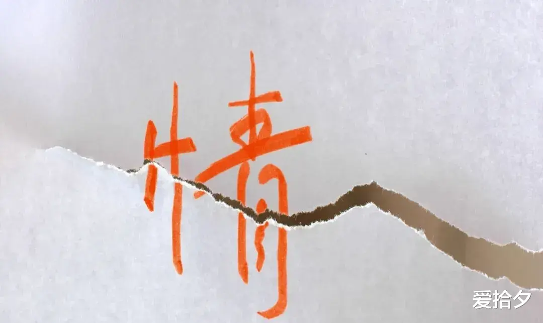 爱拾夕 真正的爱，从来都不是等价交换