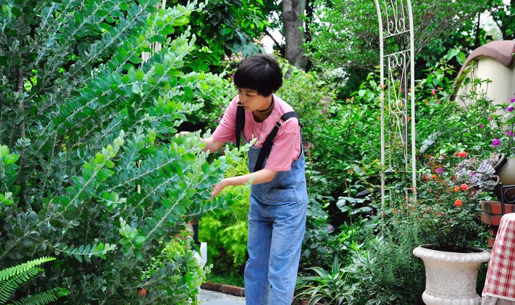 二手房|一年前,买了个200㎡院子,DIY改造成花园,在城市里过上田园生活