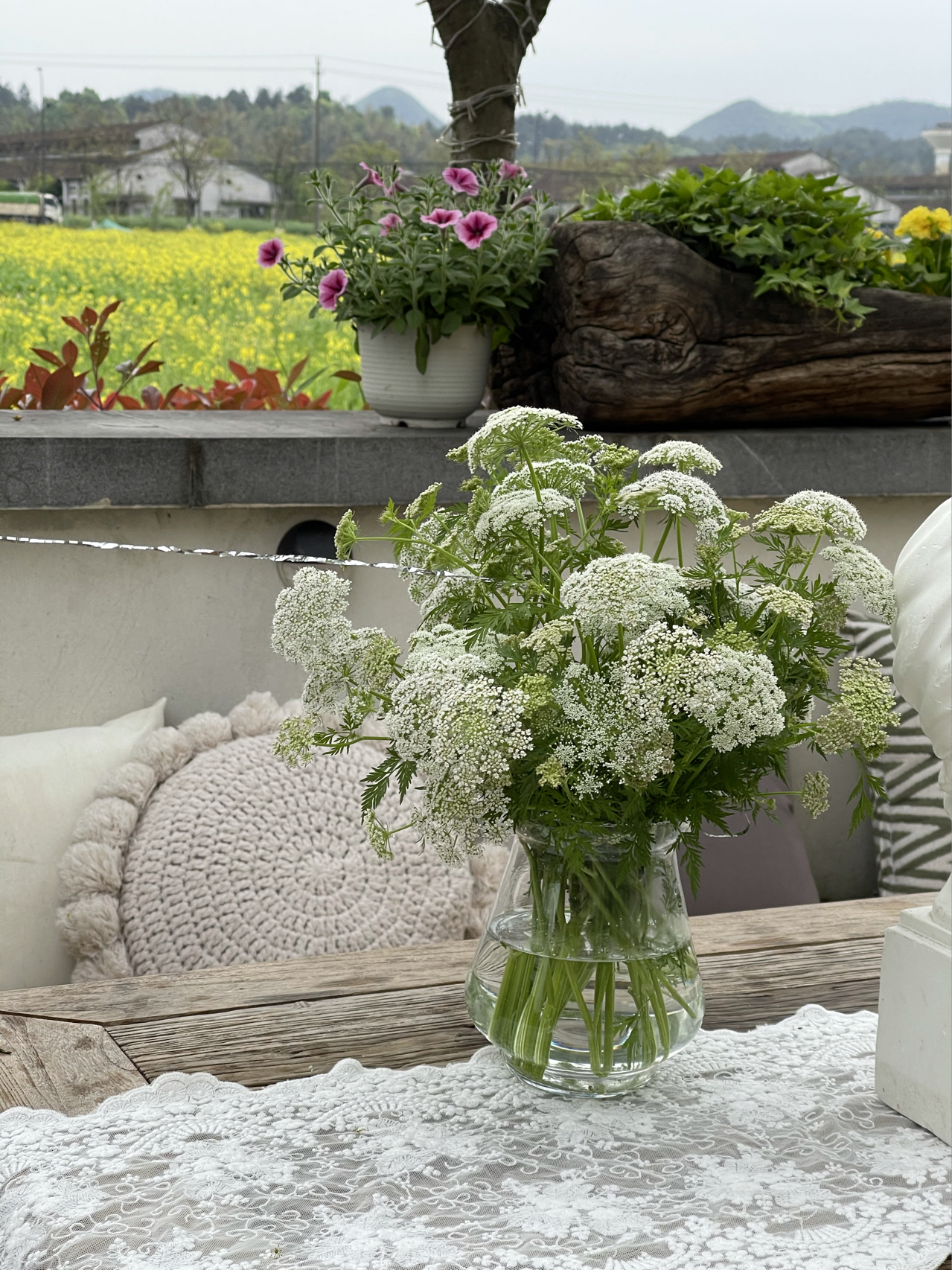 |80㎡最美乡村别墅小院，全由自己亲手布置设计，超有成就感