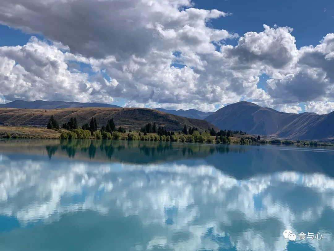 食与心|生活在童话般美丽的国度,新西兰人比中国人更健康吗?