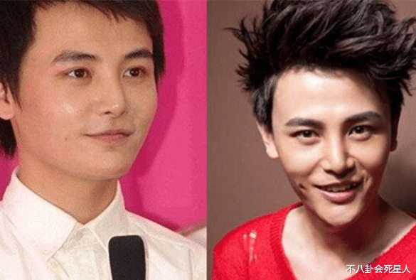 王佑硕|对鼻子“下手”的9位明星，女巫鼻、透明根、鼻孔缩小术，一个比一个狠?