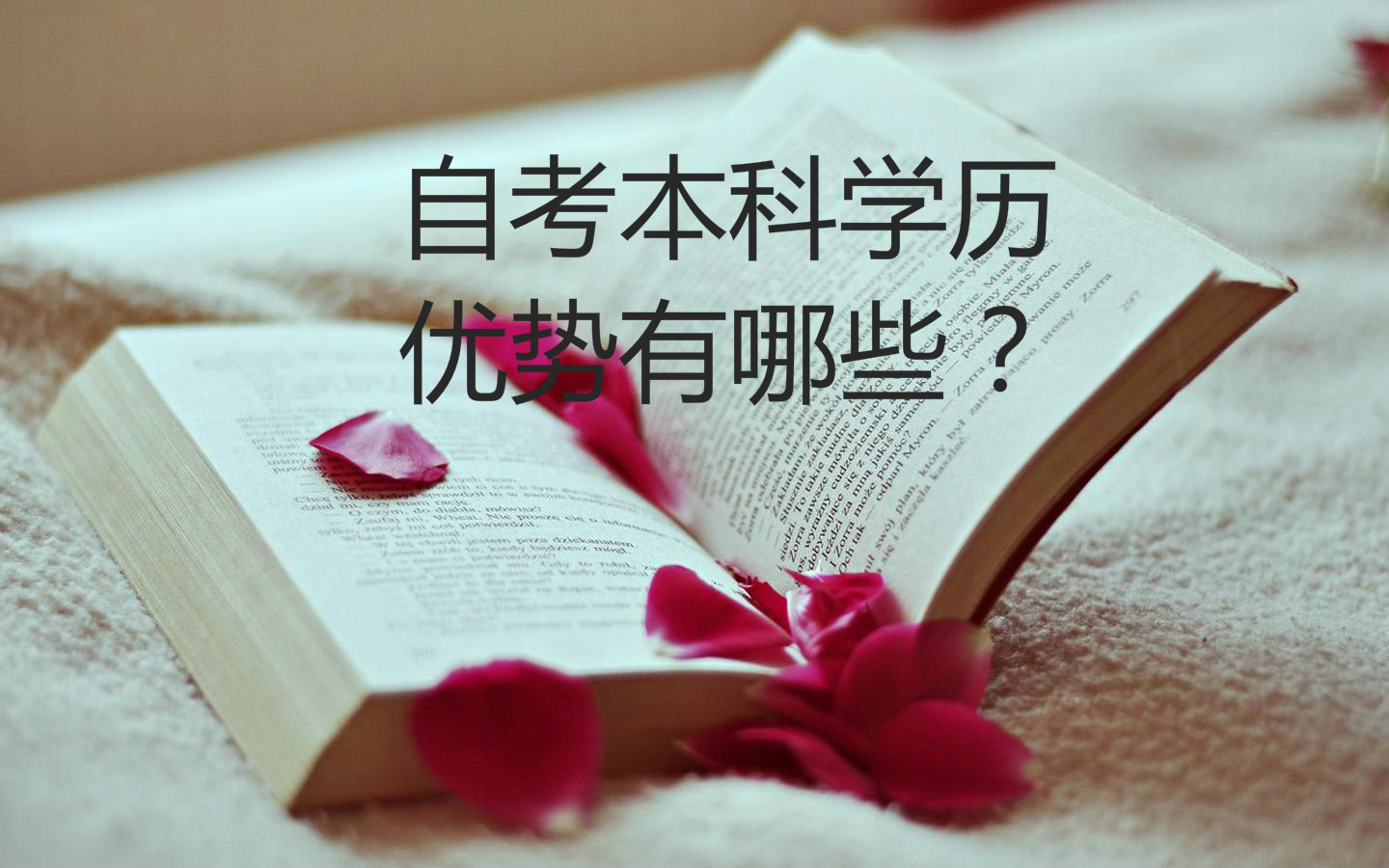 穿衣搭配|本科生求职被婉拒，企业拒绝理由很“奇葩”：自考算本科生吗？