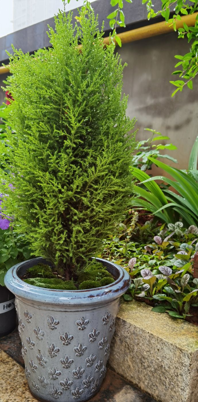 为这300㎡露台花园，毫不犹豫买了这房子，在城市屋顶过上田园生活