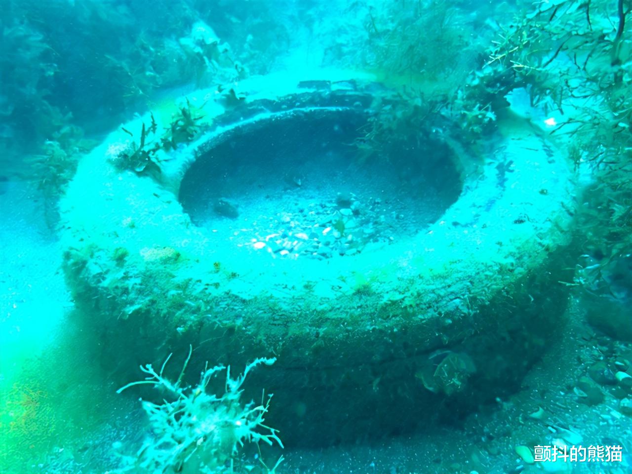 环保|进入的寄居蟹再也无法出来 垃圾引起的“鬼钓鱼”