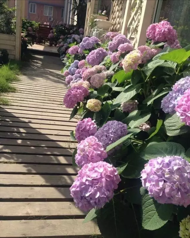 宁波|150㎡私家别墅庭院，打造花开满园的自然舒适小花园，太美了