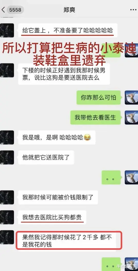 张恒|张恒曝郑爽新料：遗弃生病的泰迪，超市吃完东西不结账，习惯败坏