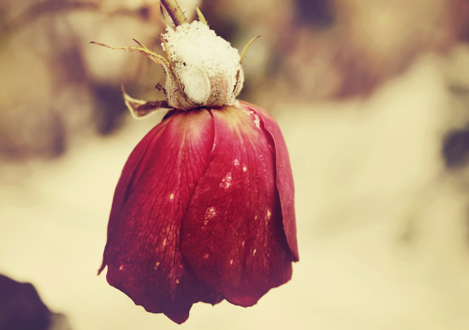 生肖夜读|7月底，事业鲤跃龙门，前有财运，后有贵人，3生肖不缺钱，越努力，赚越多