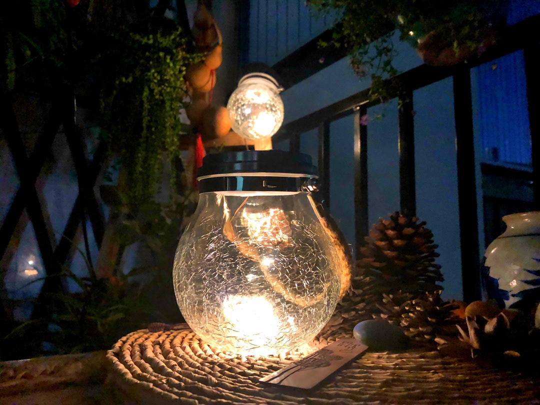 如何用一年时间,让荒废的阳台变身“空中小花园”,攻略来了