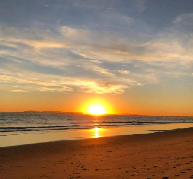 郑爽|郑爽换头像，网友直呼跟她文字一样看不懂，懂郑爽只有马天宇？