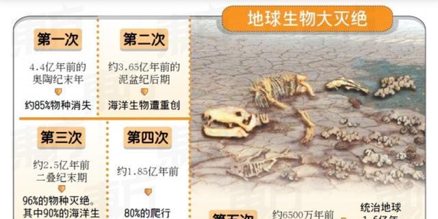 恐龙灭亡到底怎么回事?墨西哥岩石样本和印度岩石揭示可怕的毁灭